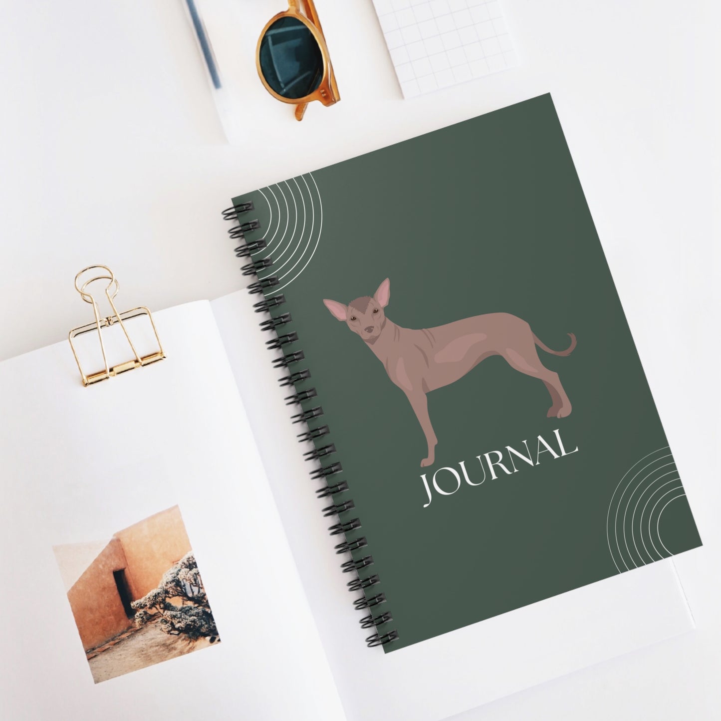 Xoloitzcuintli College Ruled Spiral Notebook