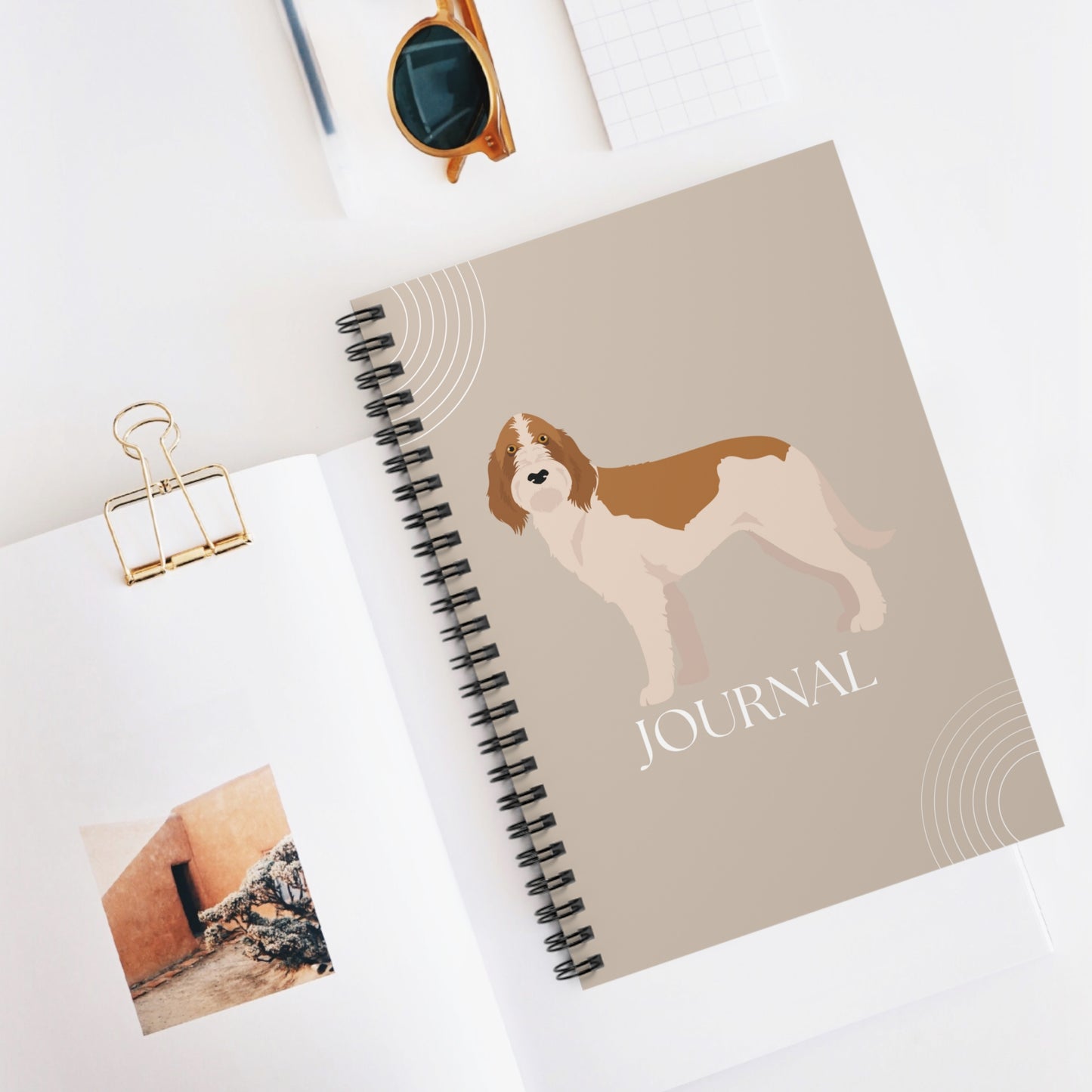 Spinone Italiano College Ruled Spiral Notebook