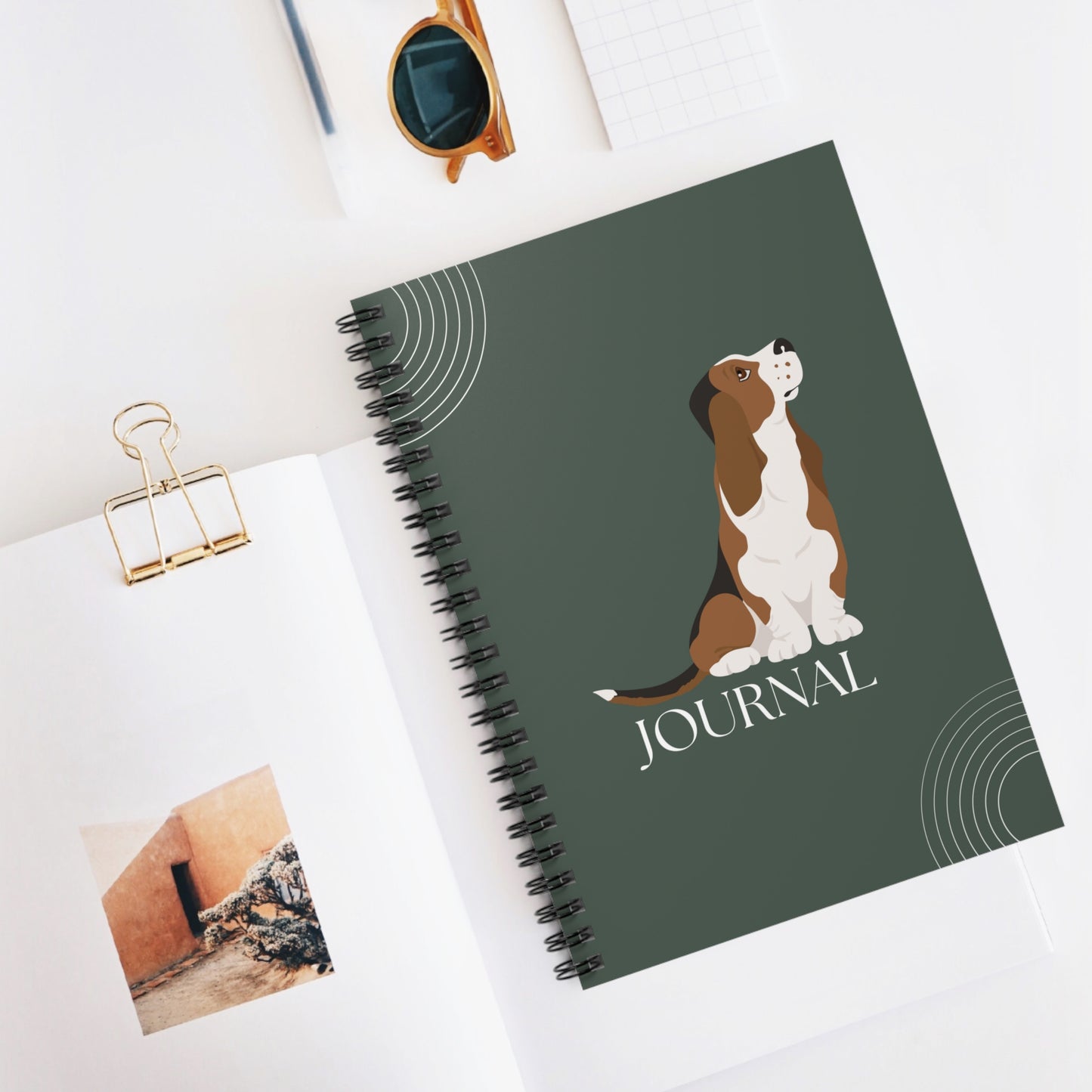 Basset Hound College Ruled Spiral Notebook