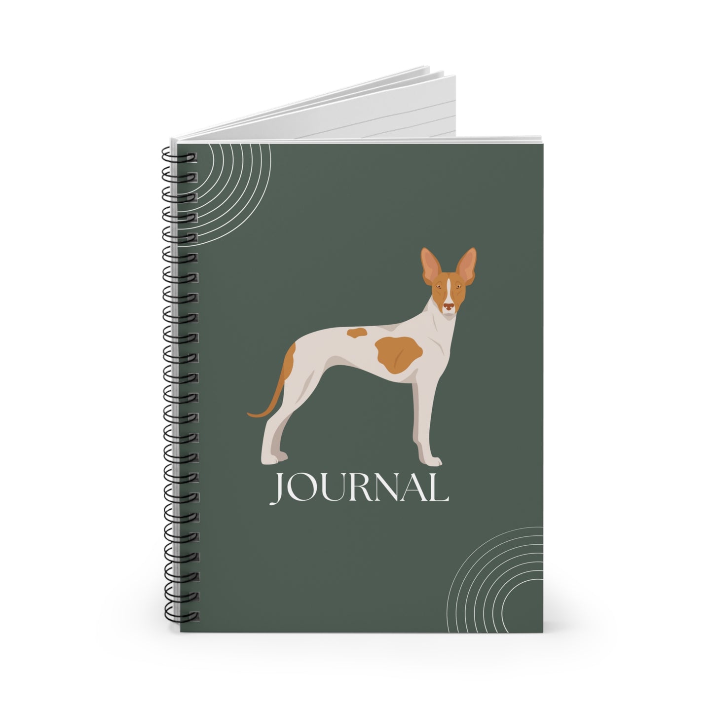 Ibizan Hound College Ruled Spiral Notebook