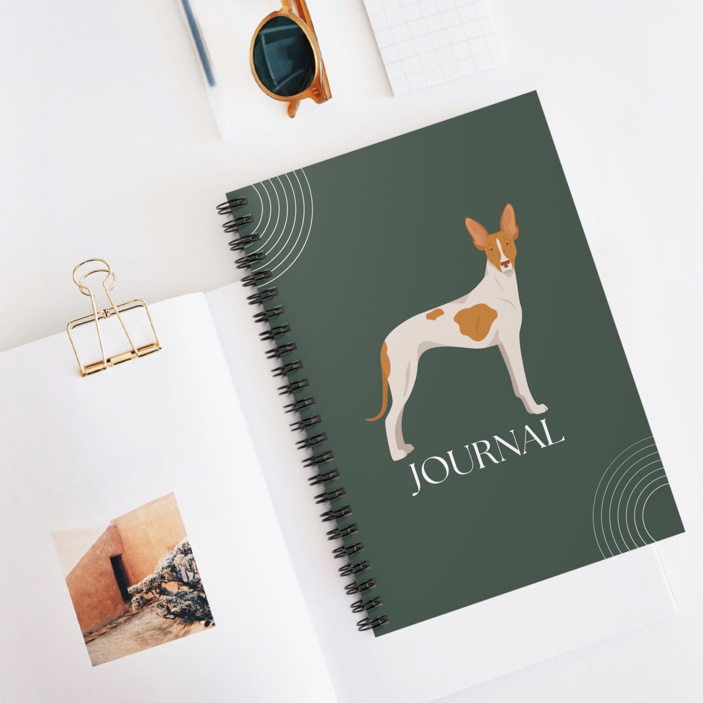 Ibizan Hound College Ruled Spiral Notebook