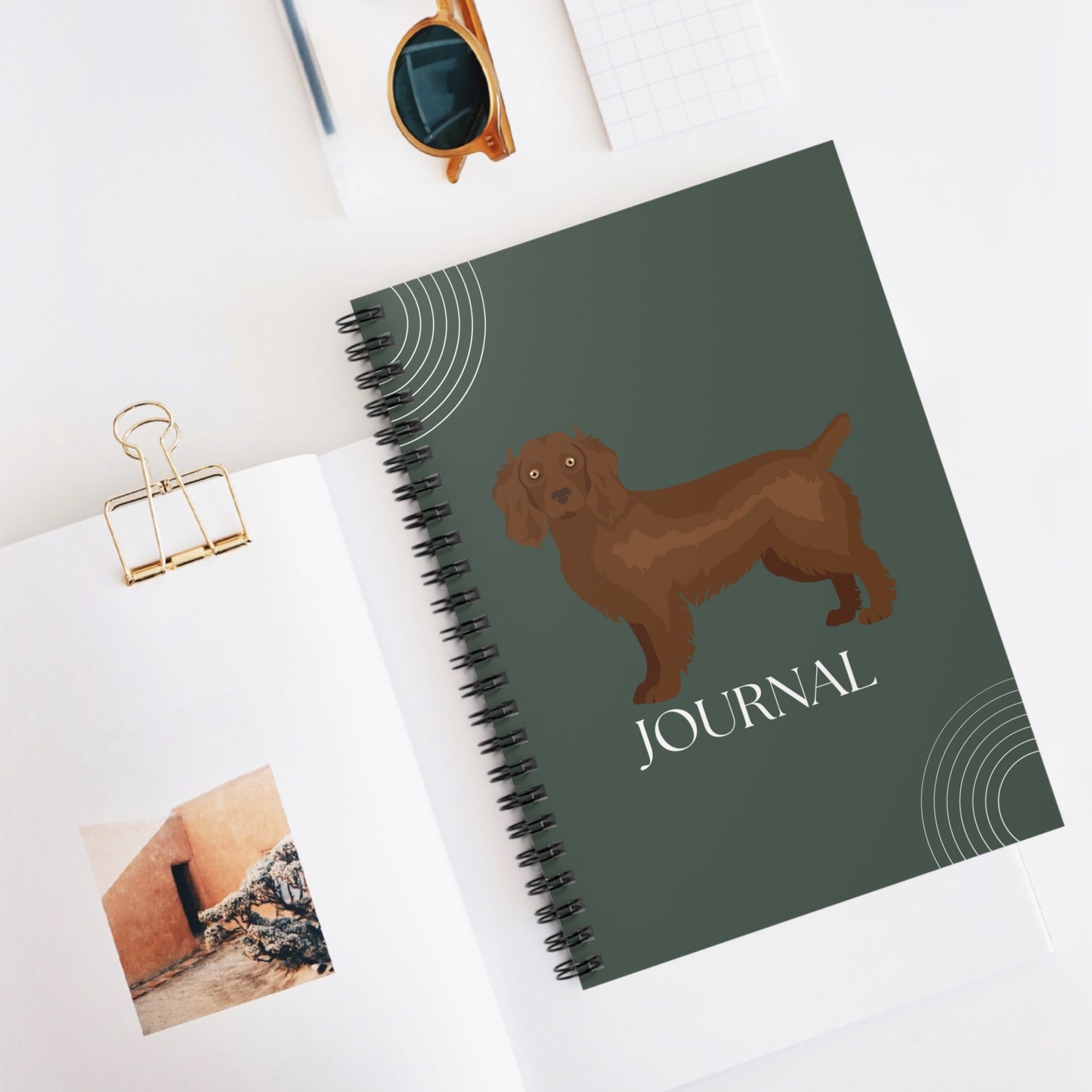 Boykin Spaniel College Ruled Spiral Notebook