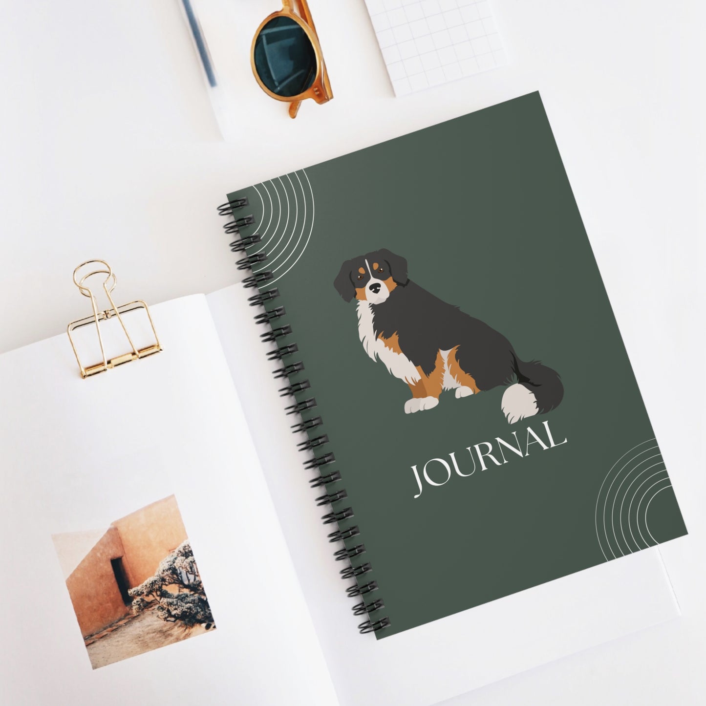 Bernese Mountain Dog College Ruled Spiral Notebook