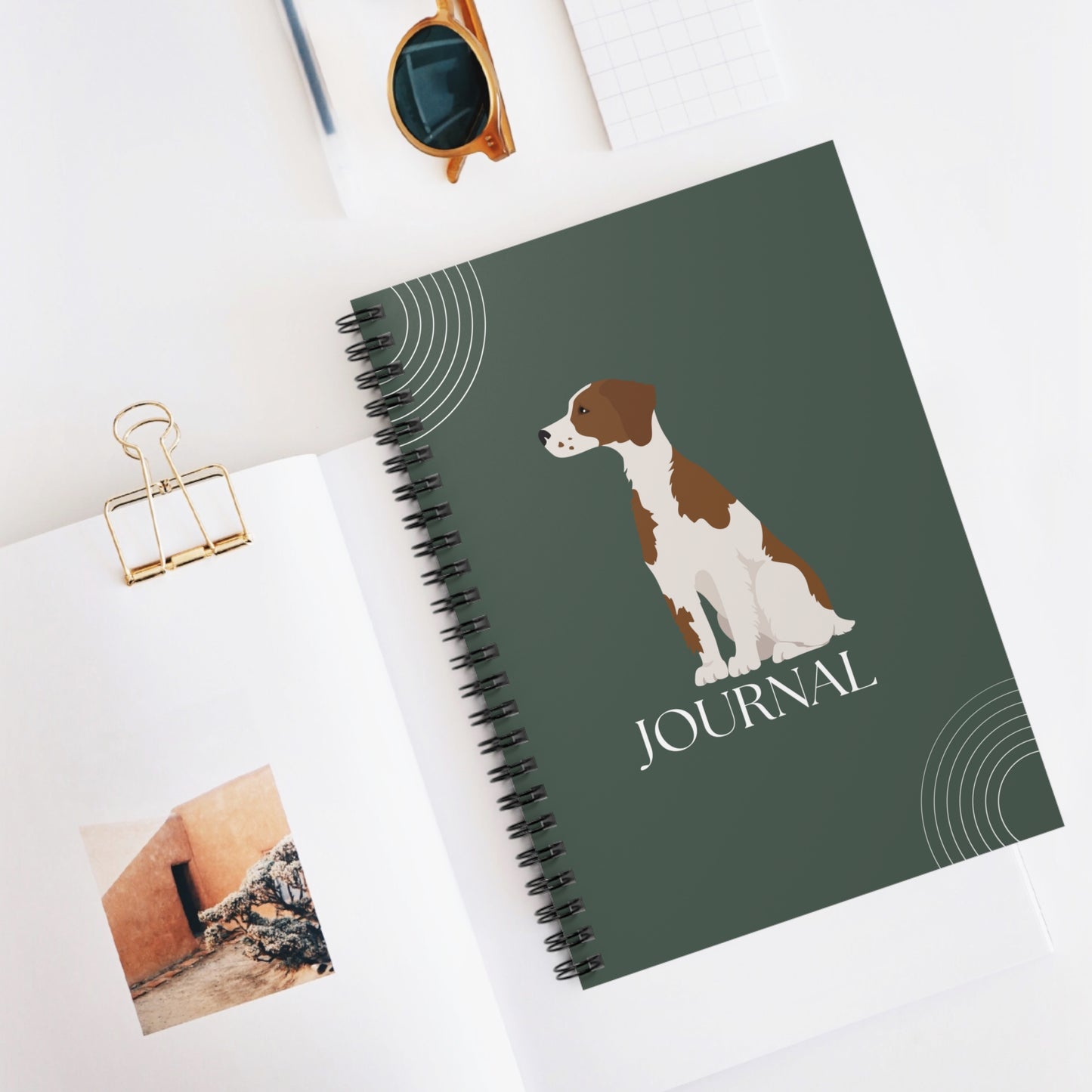 Irish Red and White Setter College Ruled Spiral Notebook