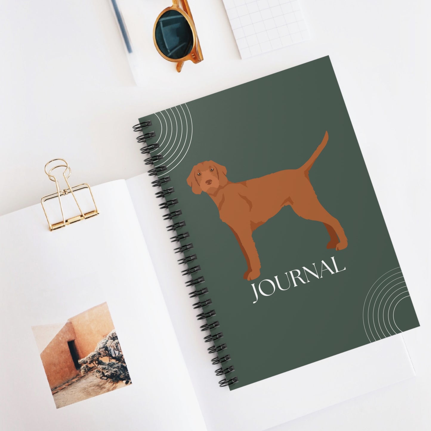 Wirehaired Vizsla College Ruled Spiral Notebook