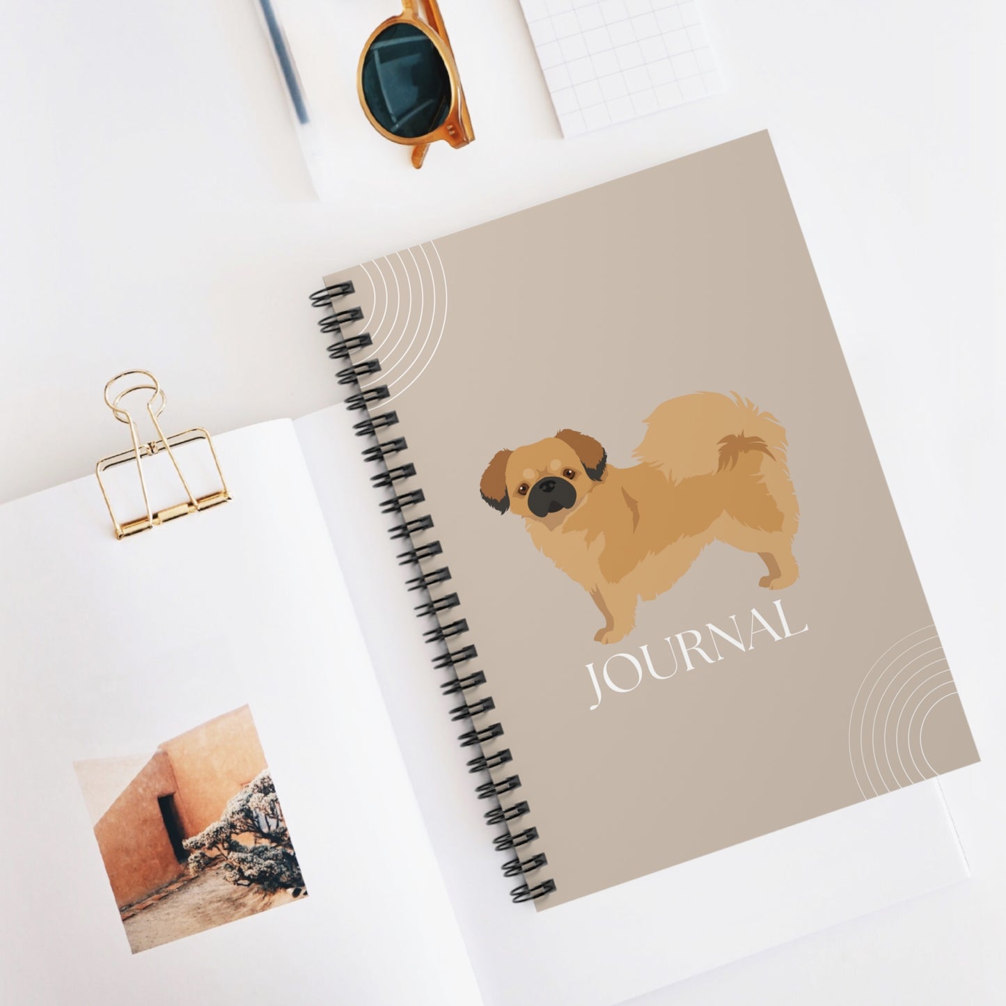 Tibetan Spaniel College Ruled Spiral Notebook