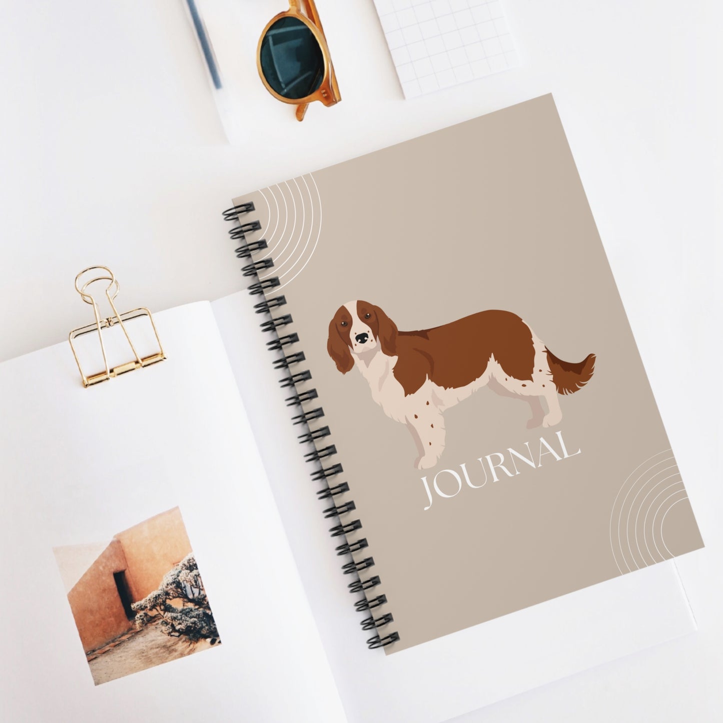 Welsh Springer Spaniel College Ruled Spiral Notebook