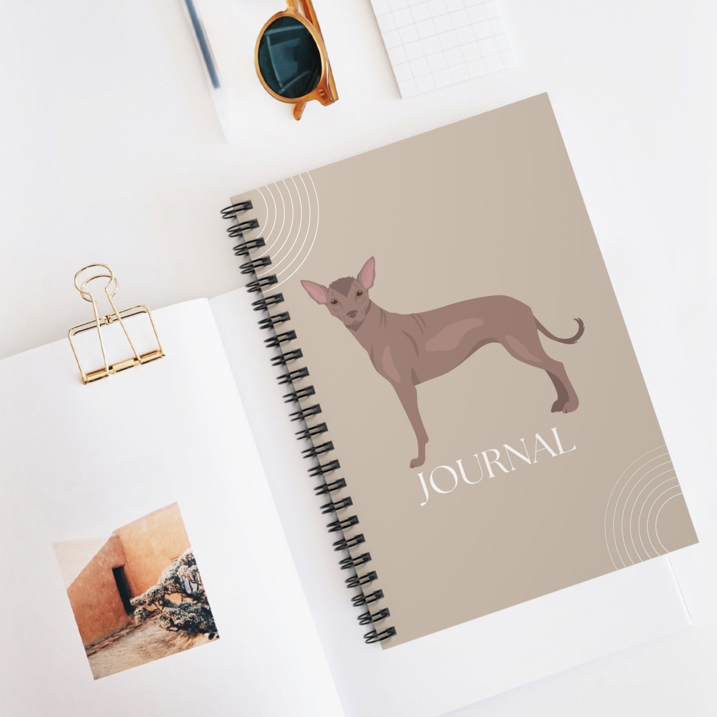 Xoloitzcuintli College Ruled Spiral Notebook