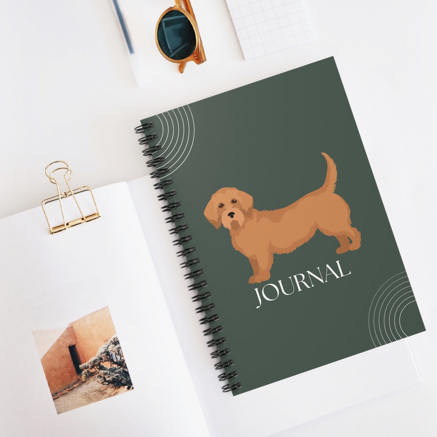 Basset Fauve de Bretagne College Ruled Spiral Notebook