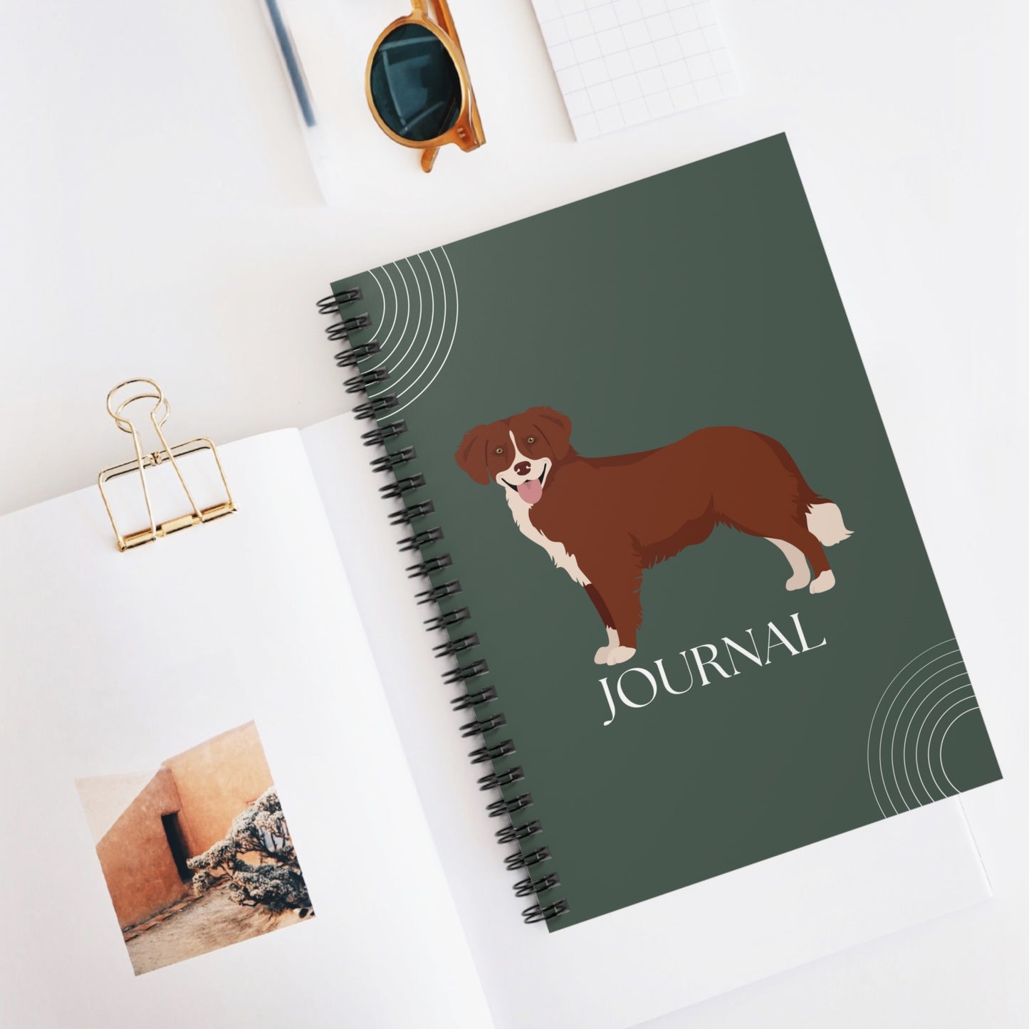 Nova Scotia Duck Tolling Retriever College Ruled Spiral Notebook