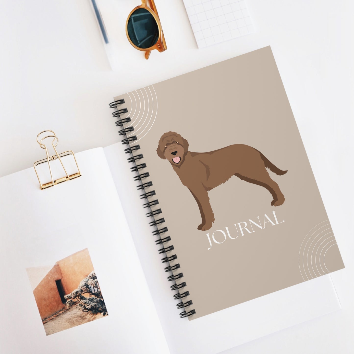 Slovakian Wirehaired Pointer College Ruled Spiral Notebook