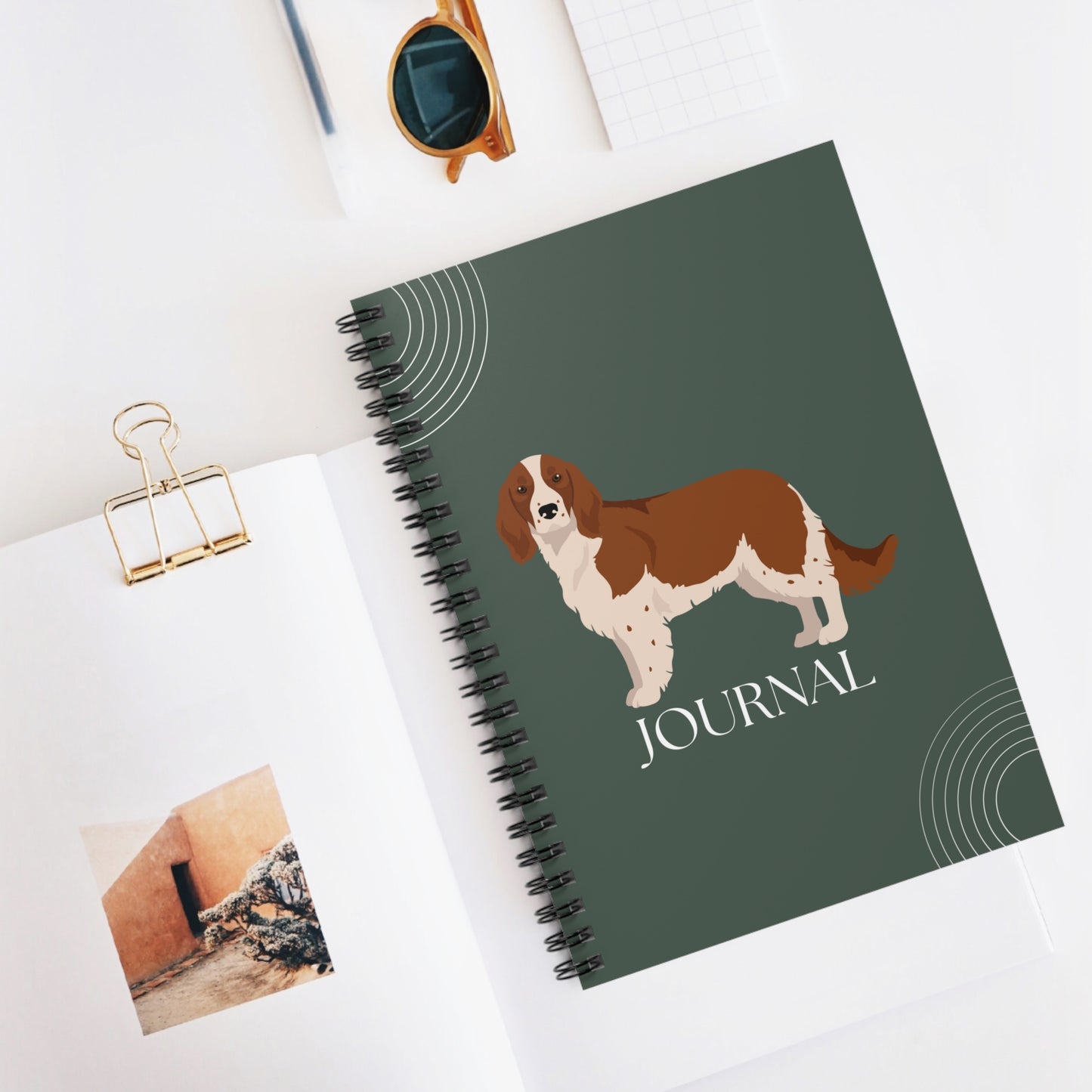 Welsh Springer Spaniel College Ruled Spiral Notebook