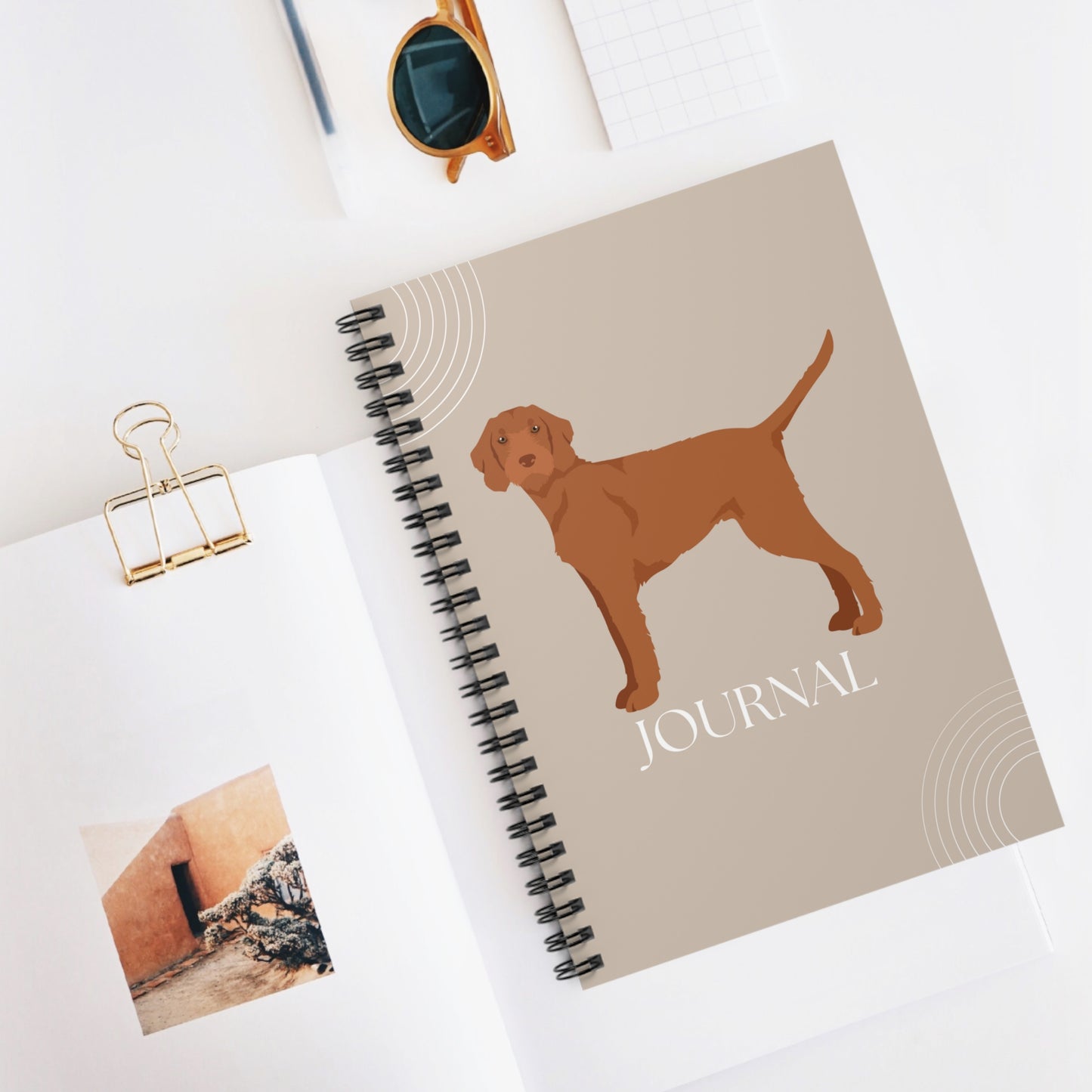 Wirehaired Vizsla College Ruled Spiral Notebook