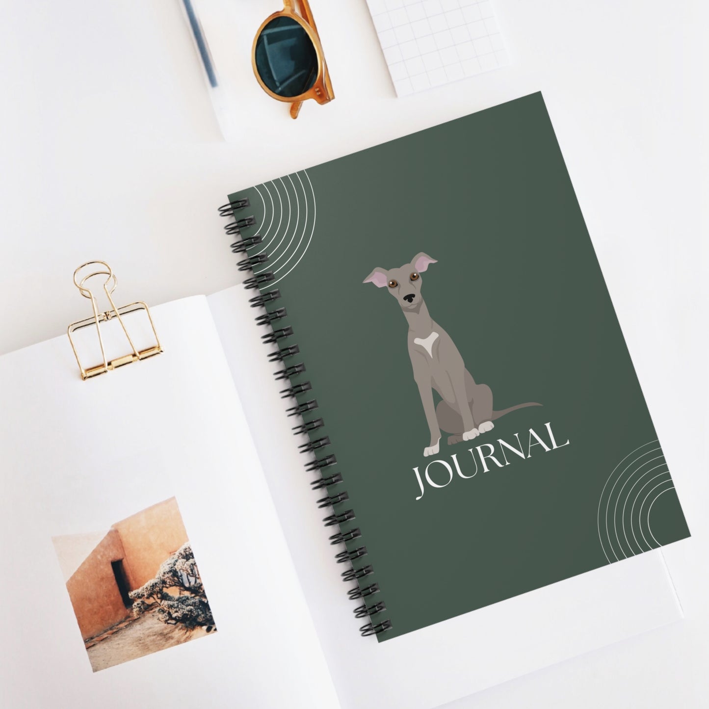 Italian Greyhound College Ruled Spiral Notebook