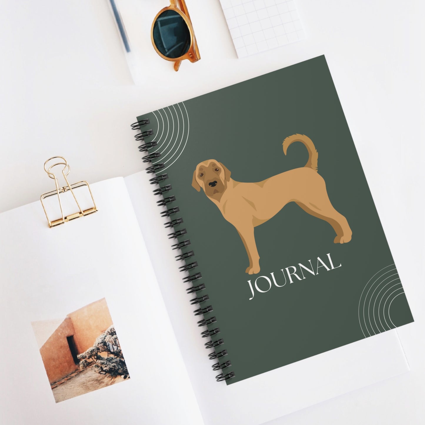 Anatolian Shepherd Dog College Ruled Spiral Notebook