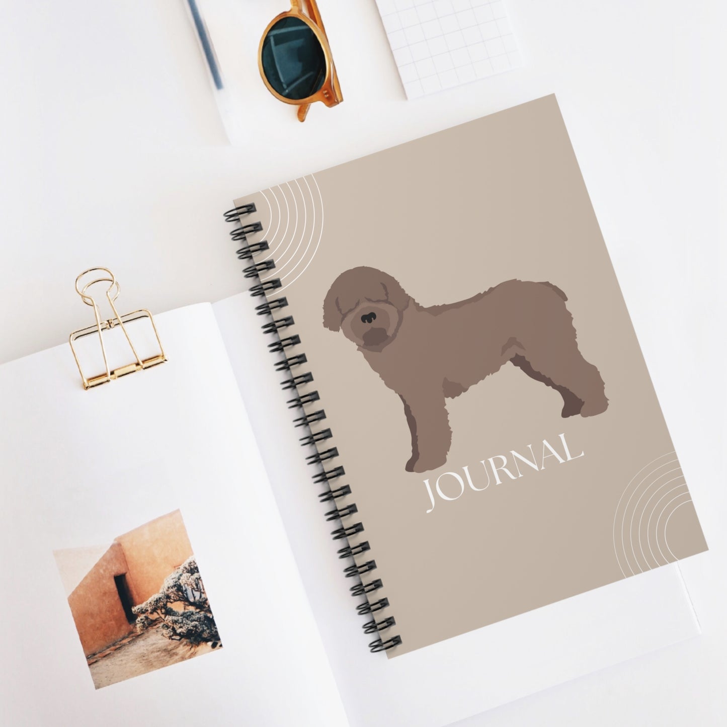 Spanish Water Dog College Ruled Spiral Notebook